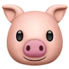 tête de cochon emoji cochon